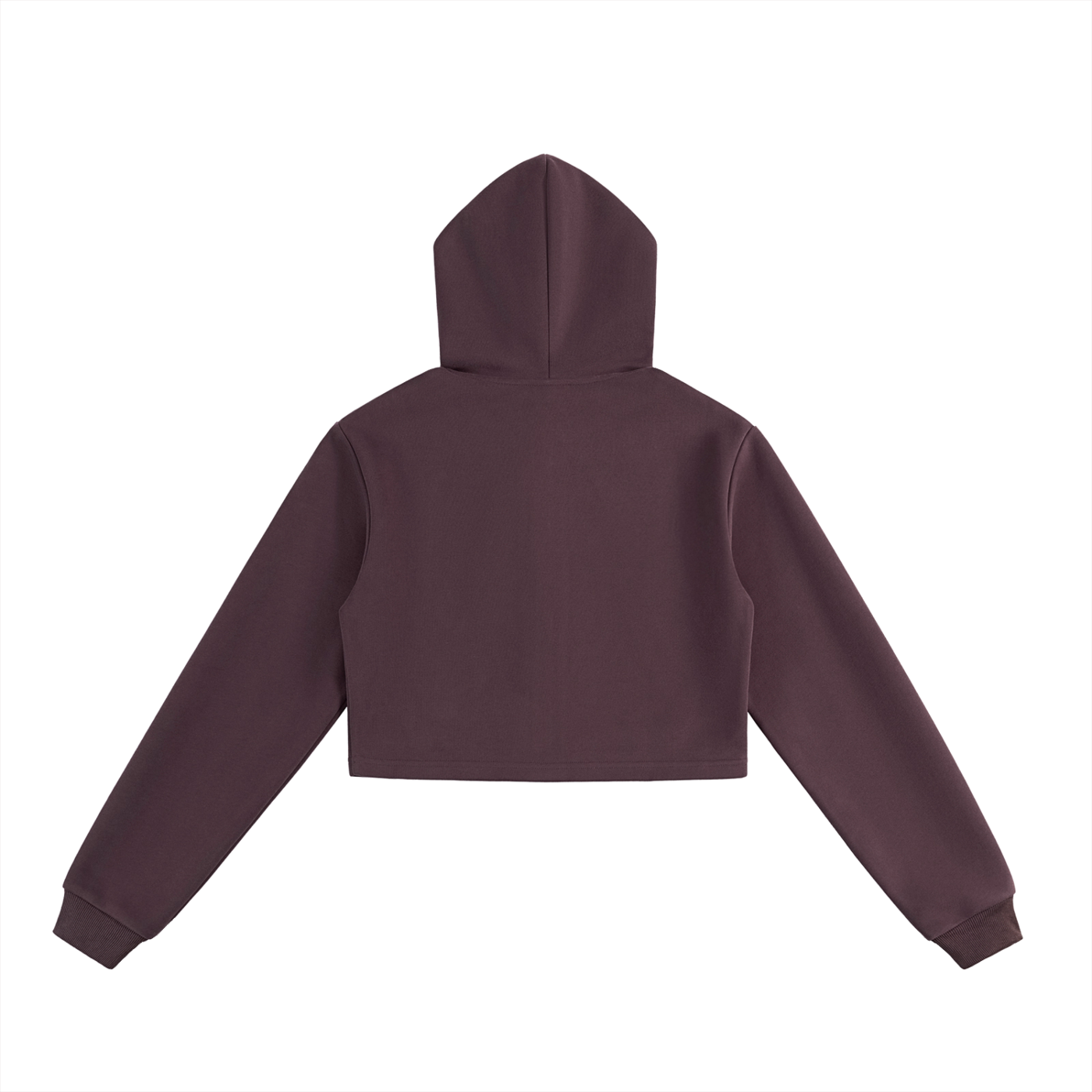 CHOSEN CROPPED HOODIE