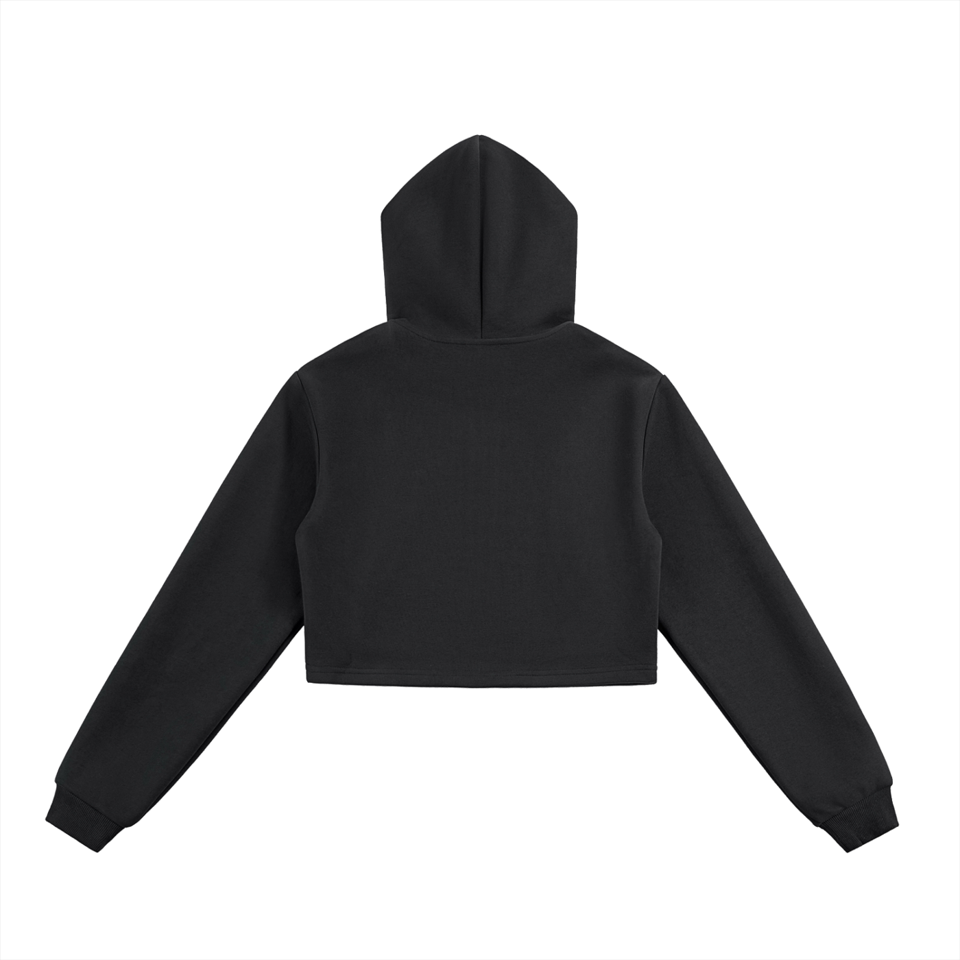CHOSEN CROPPED HOODIE