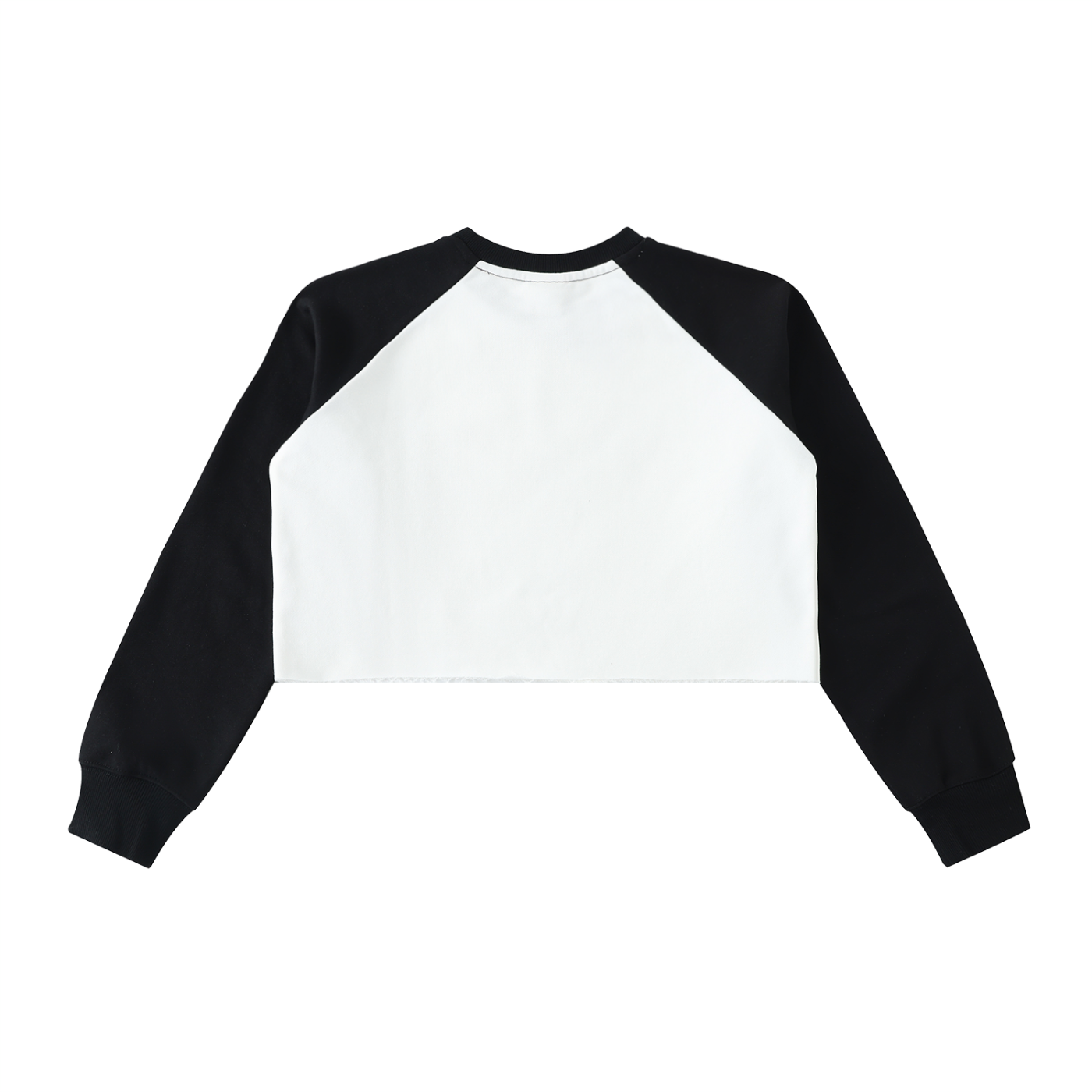 EXODUS CROPPED SWEATSHIRT